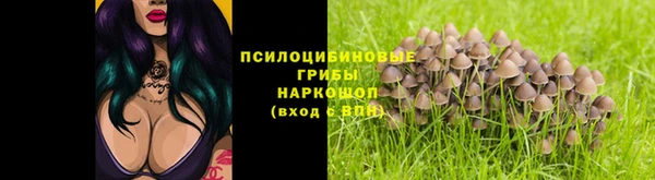 крисы Абдулино