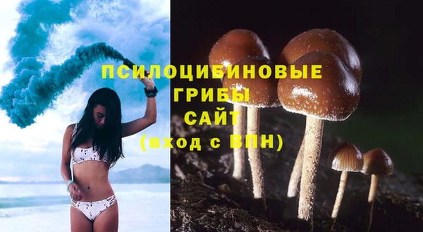 крисы Абдулино
