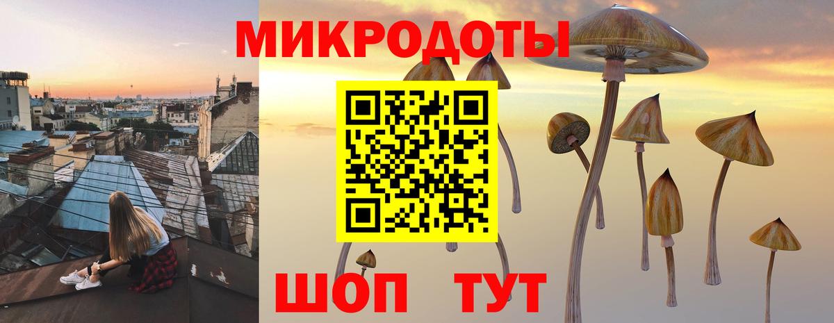 Псилоцибиновые грибы MAGIC MUSHROOMS Электросталь