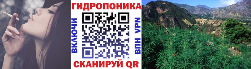 купить наркотики цена  Электросталь  кракен ССЫЛКА  Бошки Шишки ГИДРОПОН 